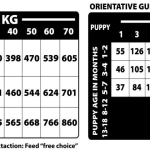 Natural Greatness Woodland Ocean Diet — Náhled 6 z 6