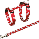 Postroj pro kočku motiv LEBKA 27-46 cm/10 mm/1,20 m — Náhled 4 z 4