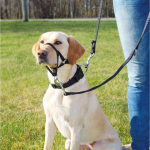 TOP TRAINER výcviková ohlávka S 22cm TRIXIE — Náhled 6 z 6