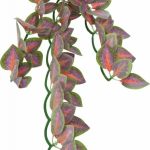 Závěsná terarijní rostlina, 20 x 50 cm, hedvábí — Náhled 1 z 6