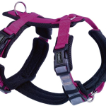 Nobby postroj pro psy DAILY WALK COMFORT L — Náhled 6 z 6