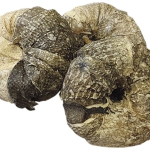Nobby StarSnack BBQ Fish Donut pamlsky pro psy 100 g/4 ks — Náhled 2 z 2