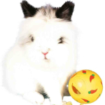 Snack ball pro hlodavce 7 cm — Náhled 3 z 3