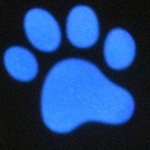 Nobby LED Pointer světelné ukazovátko — Náhled 6 z 6