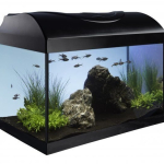 Akvarijní set 80 - černá 80x35x40 cm (RP 2,90 Kč) — Náhled 2 z 6