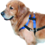 Nobby Top Walk postroj nylon s vodítkem vel. S — Náhled 2 z 2
