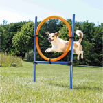 AGILITY kruh proskakovací — Náhled 1 z 2