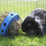 Savic Bunny Toy krmítko pro králíka 16cm — Náhled 3 z 4