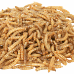 Sušený moučný červ 70 g — Náhled 2 z 2
