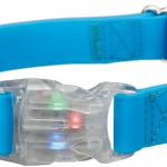 Neonový obojek se svítící karabinou L-XL 40-65 cm/25mm - DOPRODEJ (RP 2,10 Kč) — Náhled 1 z 6