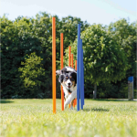 AGILITY Slalom, tyče 12ks — Náhled 1 z 6