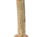 Kousací koště MATATABI 16 cm přírodní produkt — Náhled 1 z 2