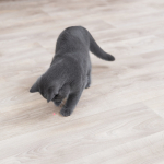 Laserová hračka pro kočky 11 cm, bílo/modrá (RP 0,90 Kč) — Náhled 4 z 5