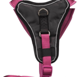Y-postroj Premium, M: 55-70 cm / 20 mm - DOPRODEJ — Náhled 4 z 6