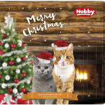 Nobby StarSnack adventní kalendář pro kočky — Náhled 1 z 2