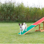 AGILITY houpačka/lávka 300x54x34cm max.do 80kg TRIXIE — Náhled 2 z 4