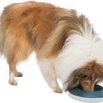 Rocking Bowl, houpací miska k pomalému krmení, 0,5 l/ø 23 cm, plastic, šedá/modrá — Náhled 5 z 6