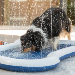 QUAPAS! Original Dog Splash 140x90cm — Náhled 3 z 6