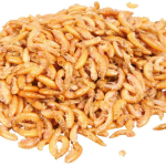 Gammarus přírodní krmivo pro vodní želvy 120 g/1000 ml - DOPRODEJ — Náhled 2 z 2