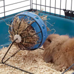 Savic Bunny Toy krmítko pro králíka 16cm — Náhled 4 z 4