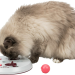 Cat Activity FLIP BOARD, strategická hra,  ø 23, vínová/růžová/šedá — Náhled 2 z 5