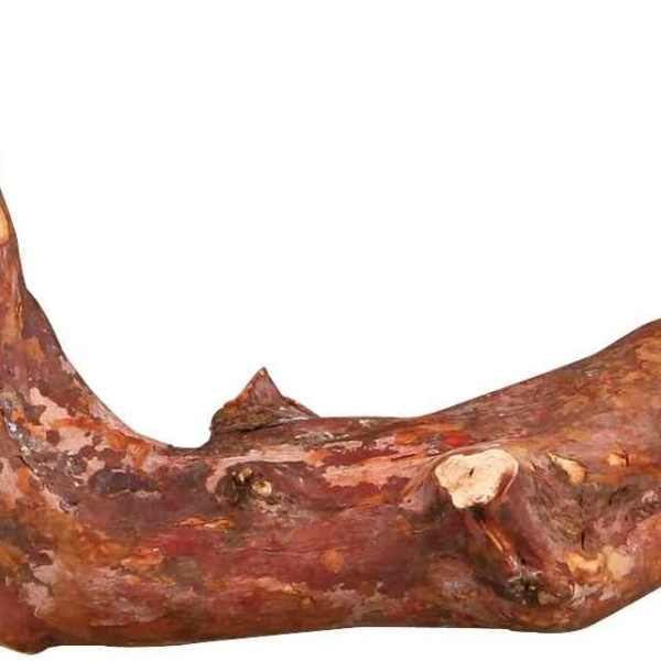 Bidýlko přírodní liána