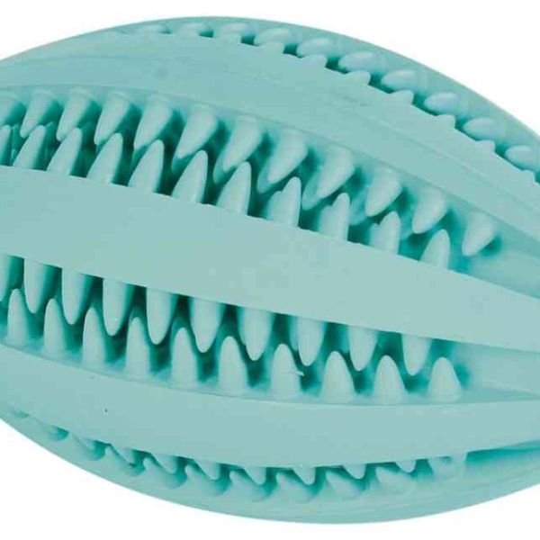 DENTAfun RUGBY míč s mátou 11cm TRIXIE