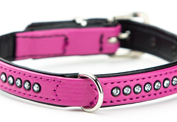 Nobby Crystal obojek se Swarovski krystaly