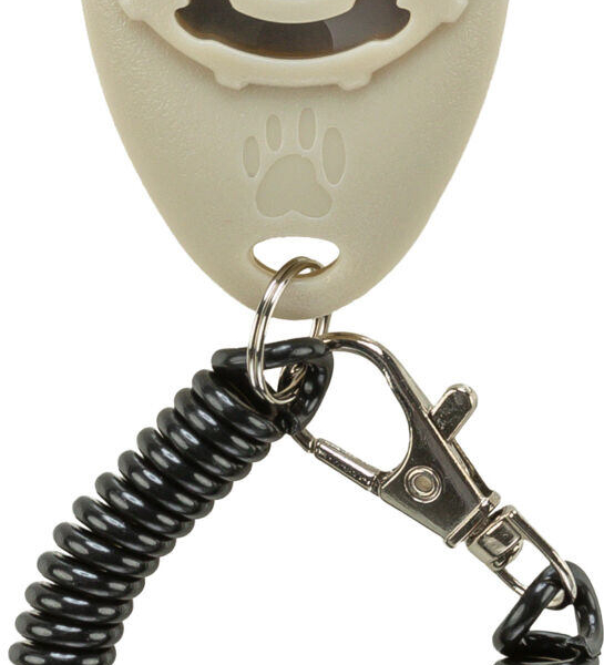 Sporting clicker