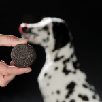 Black & White Cookies, sušenky s kuřecím, 4ks/100g — Náhled 6 z 6