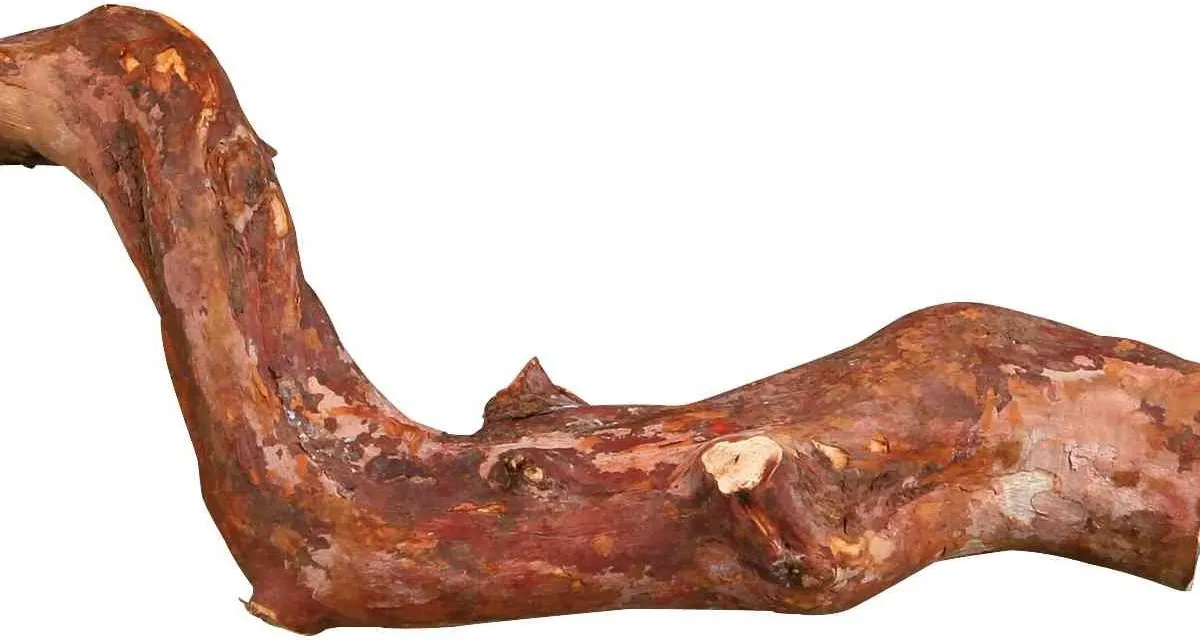 Bidýlko přírodní liána