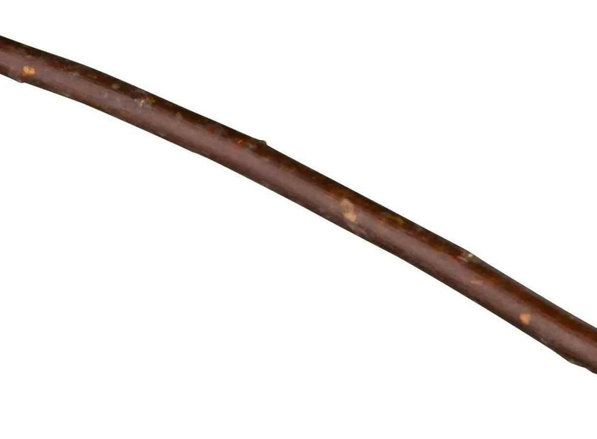 Natural Living vrbové proutky 18 cm, 20ks
