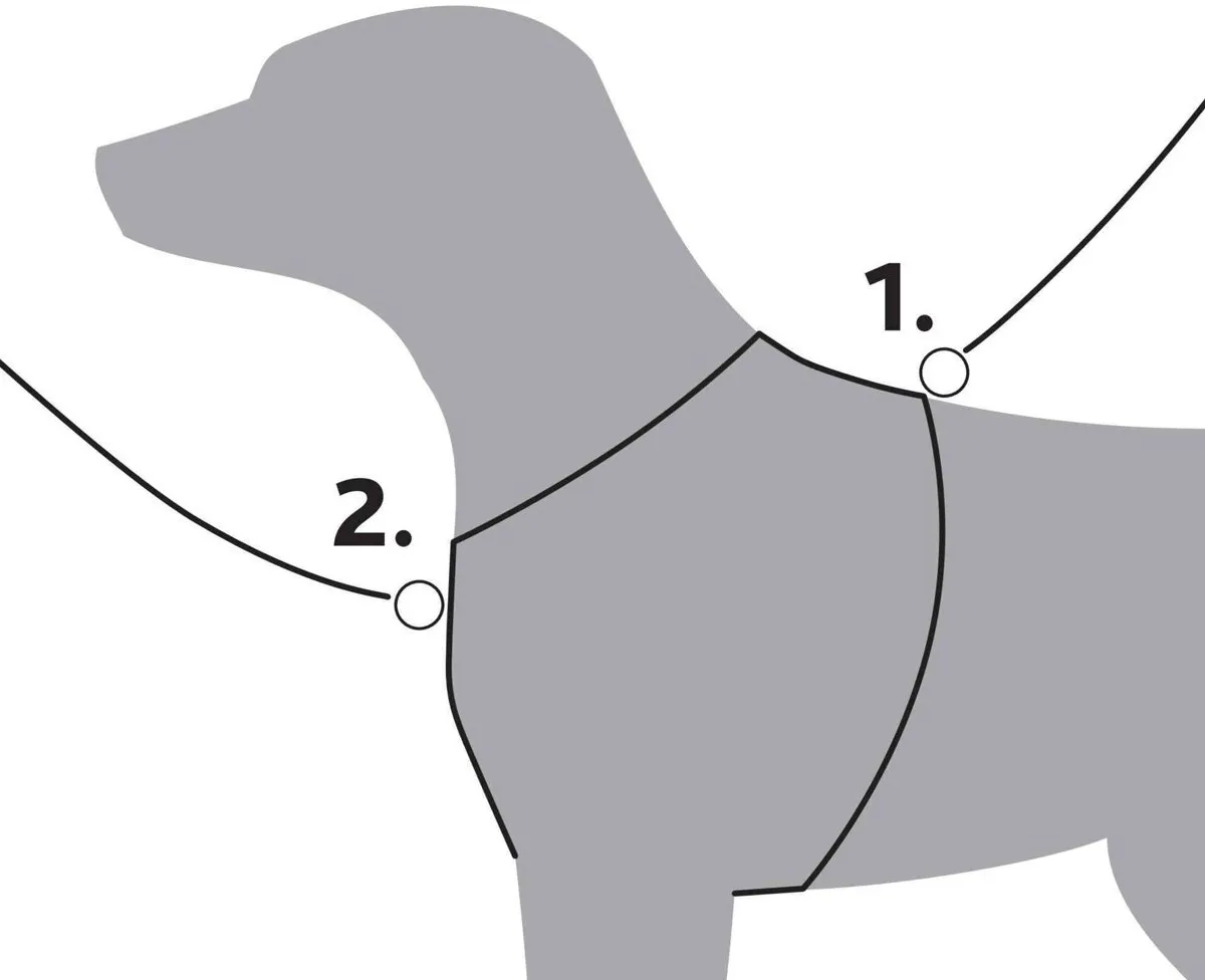 Y-postroj Premium, M: 55-70 cm / 20 mm - DOPRODEJ