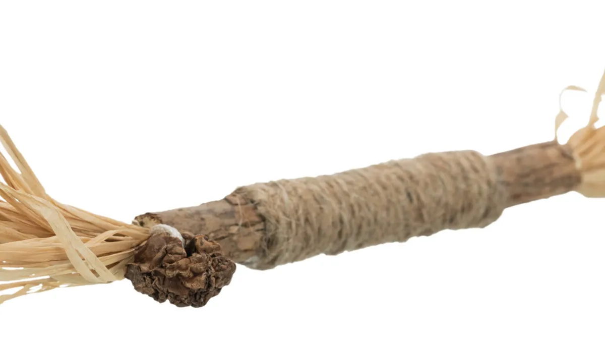 Matatabi tyčka s třásněmi, 24cm