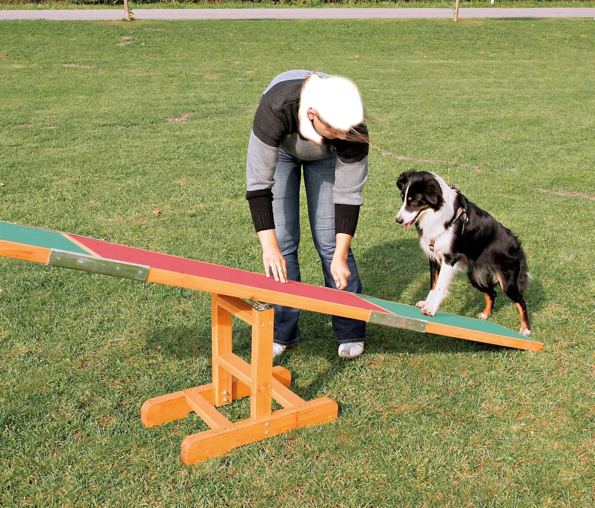 AGILITY houpačka/lávka 300x54x34cm max.do 80kg TRIXIE