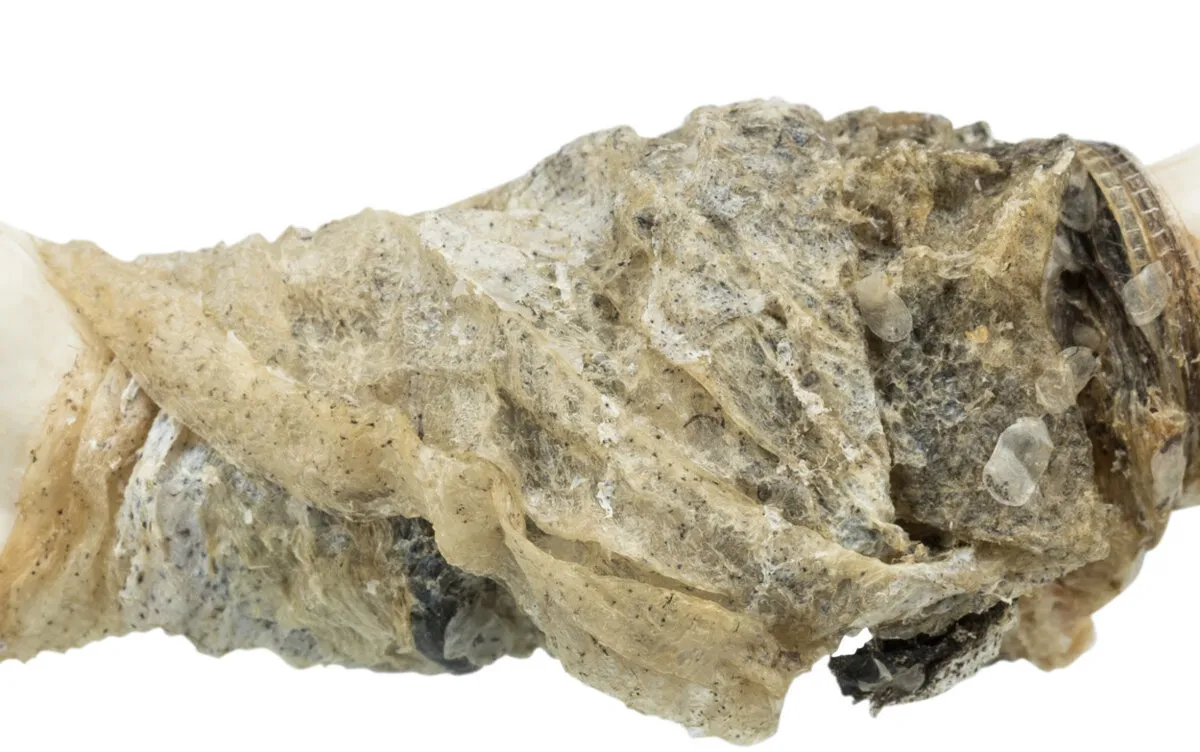 PREMIO Fishies - kalciová kost obtočená rybí kůží 100 g