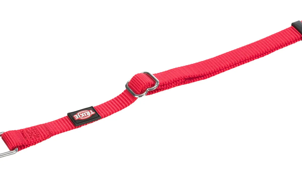 Postroj do auta pro kočku 20-50cm