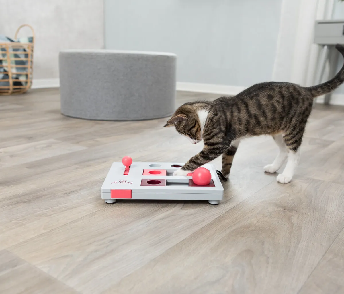Cat Activity Brain Mover desková hra 25x20 cm