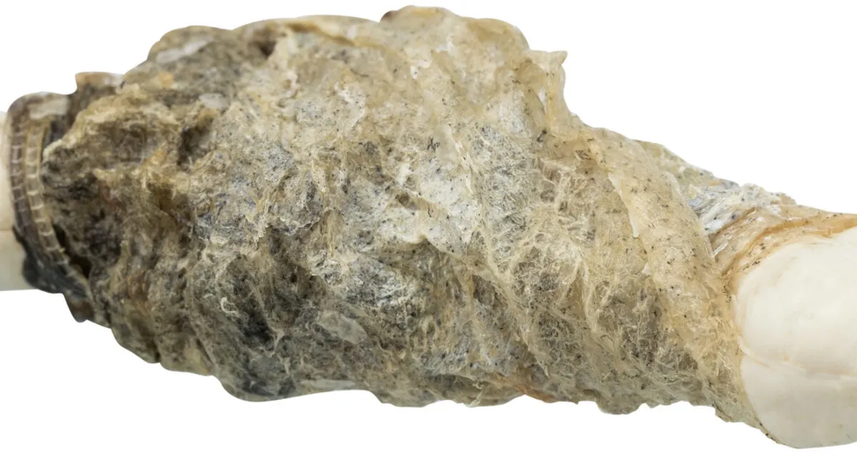 PREMIO Fishies - kalciová kost obtočená rybí kůží 100 g