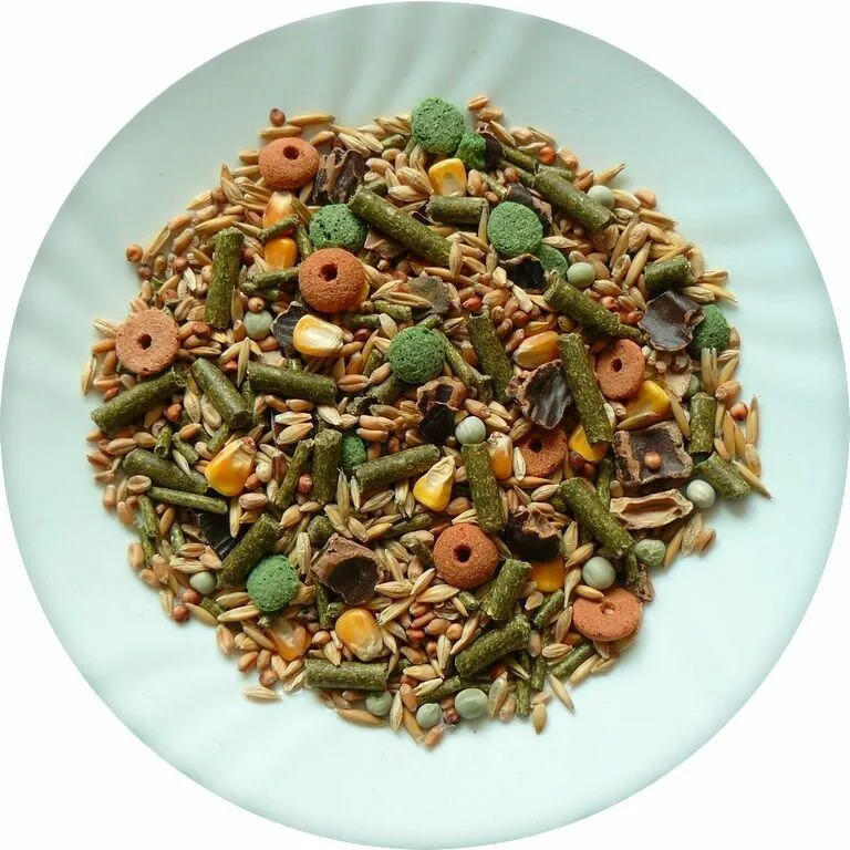 AVICENTRA CLASSIC menu morče 1kg