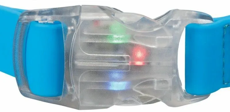 Neonový obojek se svítící karabinou L-XL 40-65 cm/25mm - DOPRODEJ (RP 2,10 Kč)