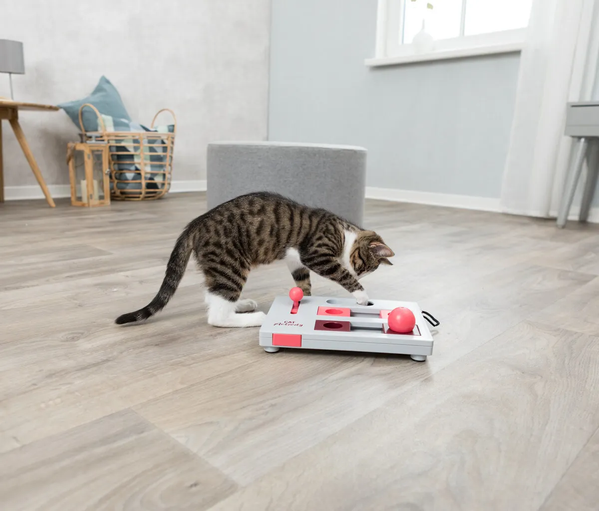 Cat Activity Brain Mover desková hra 25x20 cm