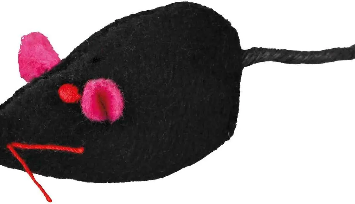 Myší škola na kartě 5cm [24ks]