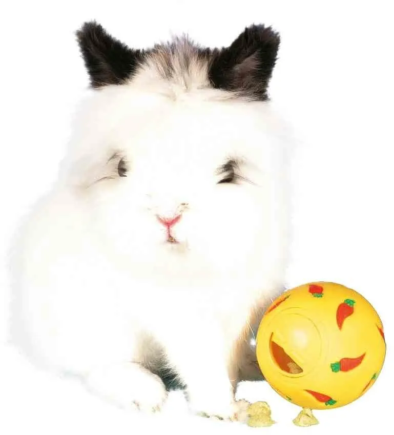 Snack ball pro hlodavce 7 cm