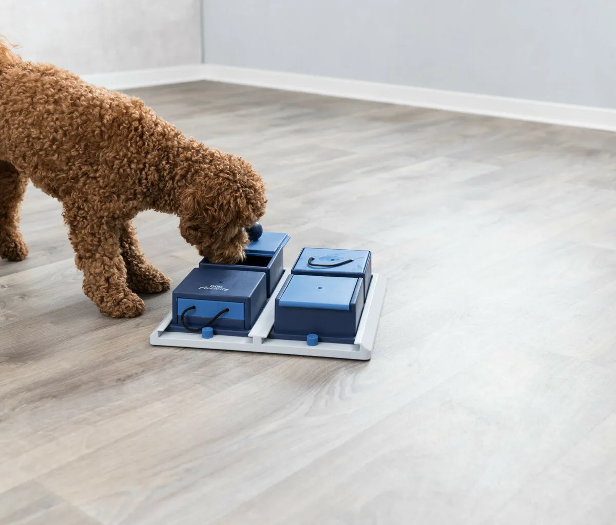 Dog Activity POCKER BOX 1  31x31 cm