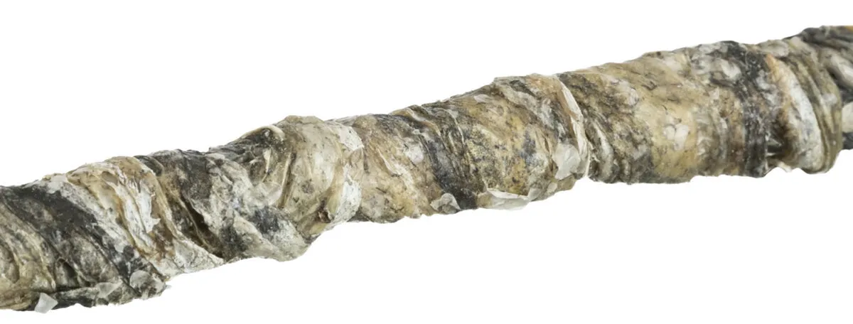 DENTAfun-tyčinka svázaná rybím masem 10ks, 12cm/75g