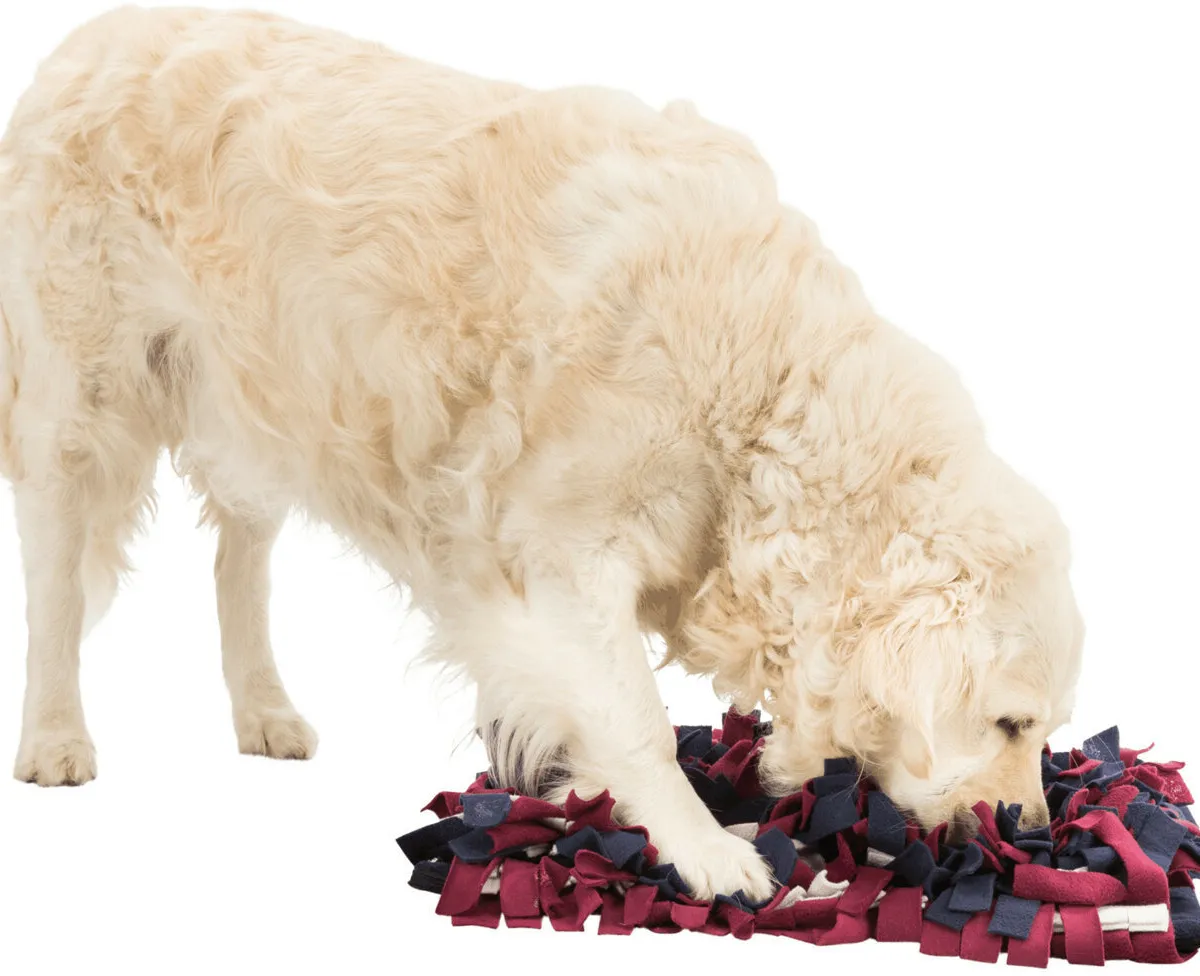Dog Activity SNIFFING CARPET čichací koberec 5
