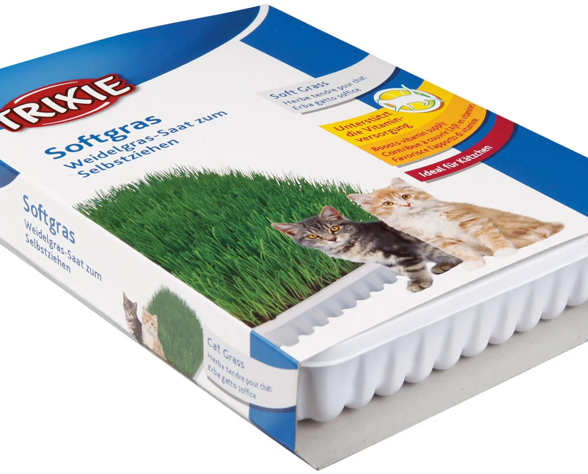 Jemná tráva pro kočku v misce TRIXIE 100 g