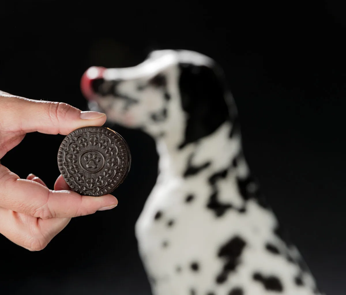 Black & White Cookies, sušenky s kuřecím, 4ks/100g