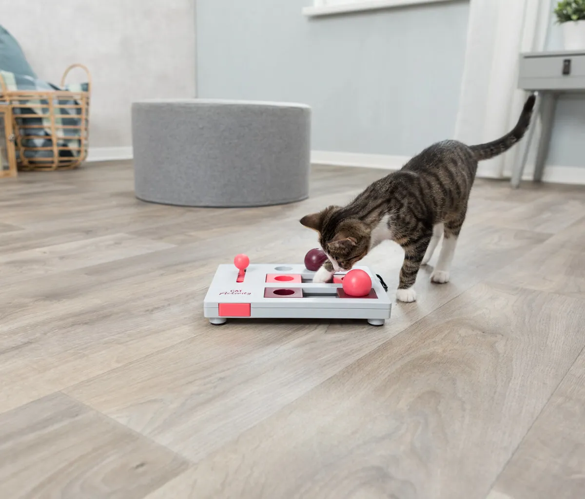 Cat Activity Brain Mover desková hra 25x20 cm